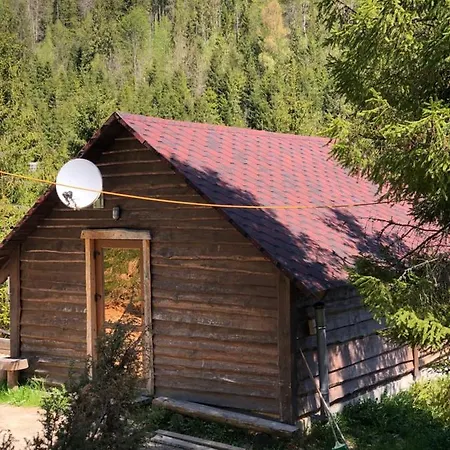 аляска * Oryavchyk