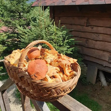 аляска Holiday home Oryavchyk