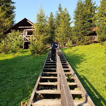 аляска Oryavchyk